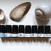 Arsflore - Kunst, Orakelkarten, Dfte & Schmuck