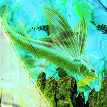 Matrix-Buchkonzepte / Maren Orlowski - Fine Art Bildcollagen & Kunstpostkarten