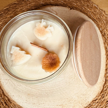 Mony-Honey / Monica Lombardo
Kerzen (vegan) und vegetarische Beautyprodukte