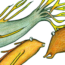 artdeshauses / Sasa Wilhelm - Illustrationen + Unikate